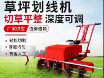 點(diǎn)擊查看詳細(xì)信息<br>標(biāo)題：草皮劃線機(jī) 閱讀次數(shù)：2211